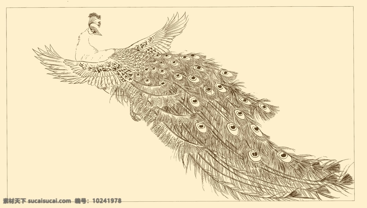 小 孔雀 国画 白描 动物 线描 中国画 禽鸟 小孔雀 白描孔雀 装饰素材 室内装饰用图