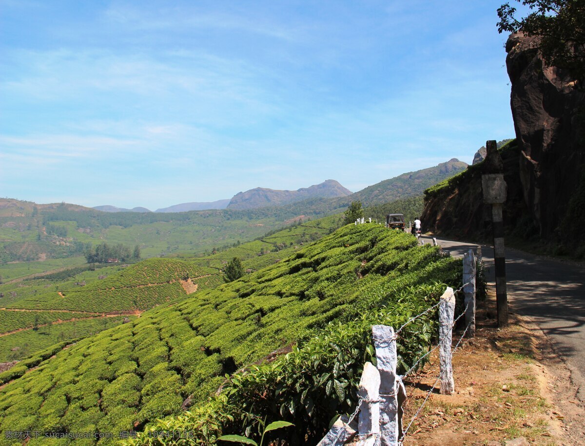 茶山 茶园 茶场 茶叶种植 茶 茶叶 农作 摄影图片 现代科技 农业生产