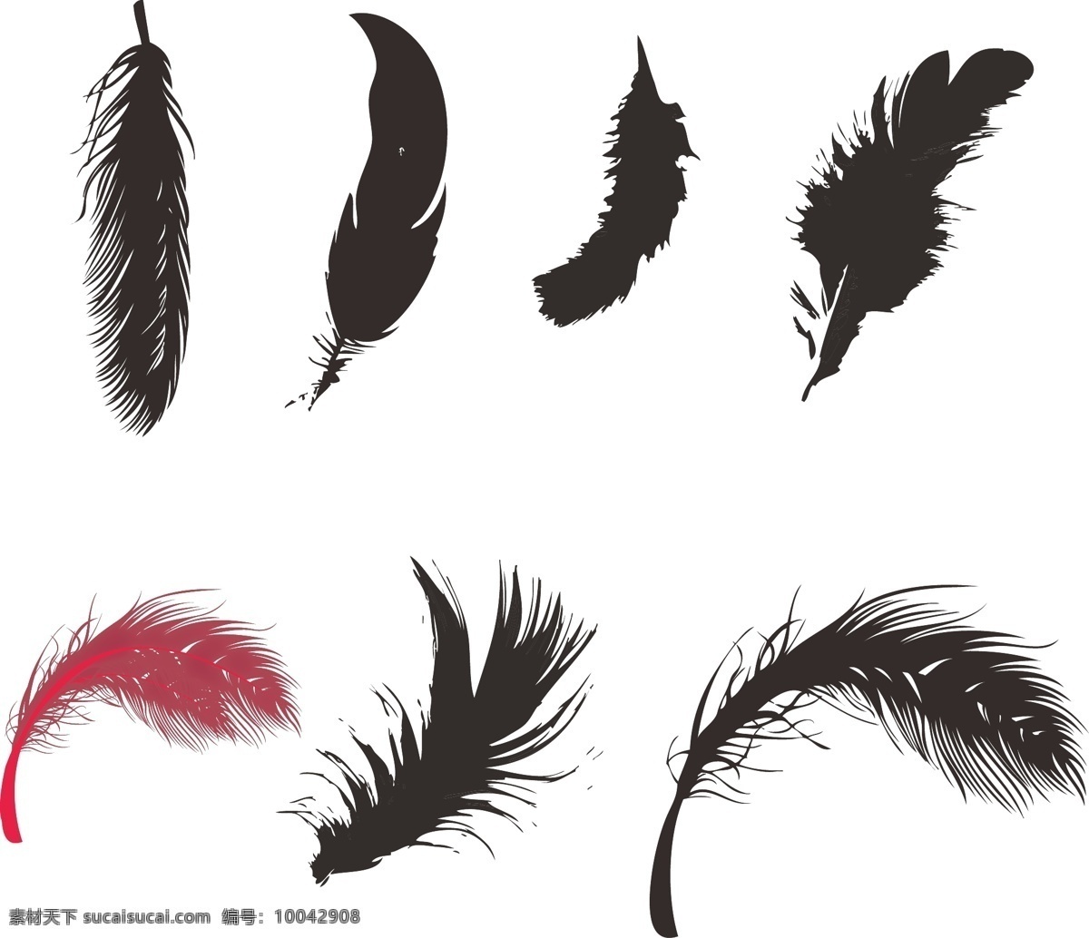 鸟类羽毛 羽毛素材 线描羽毛 矢量 手绘羽毛 矢量手绘 底纹边框 花边花纹