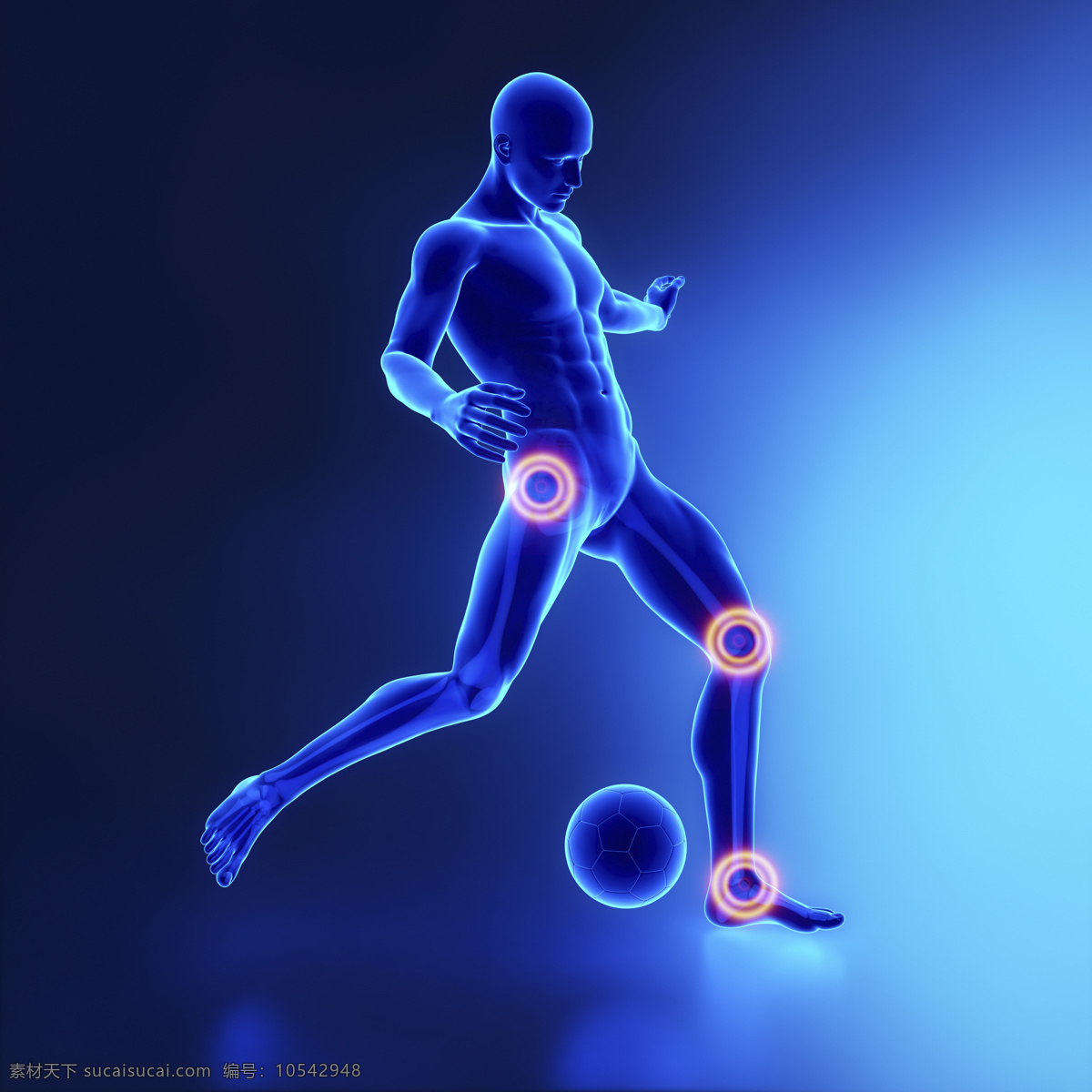 踢球 男性 人体 足球 关节 男性人体器官 医疗科学 医学 人体器官图 人物图片