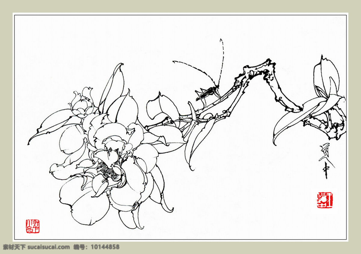 山茶天牛 王道中 国画 白描 花卉 山茶 天牛 昆虫 印章 白描花卉图谱 文化艺术 绘画书法