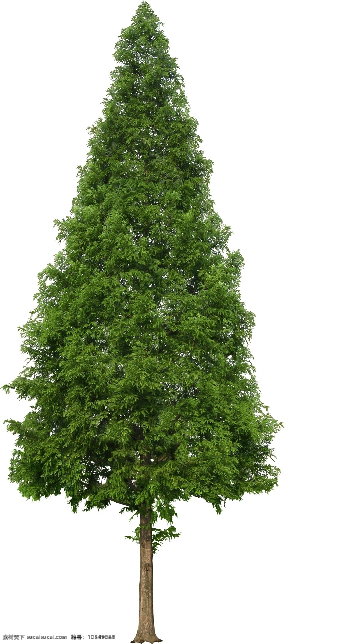园林景观设计 树木 植物 乔木 灌木 花卉 绿篱 后期ps素材 设计素材 自然景观 建筑园林