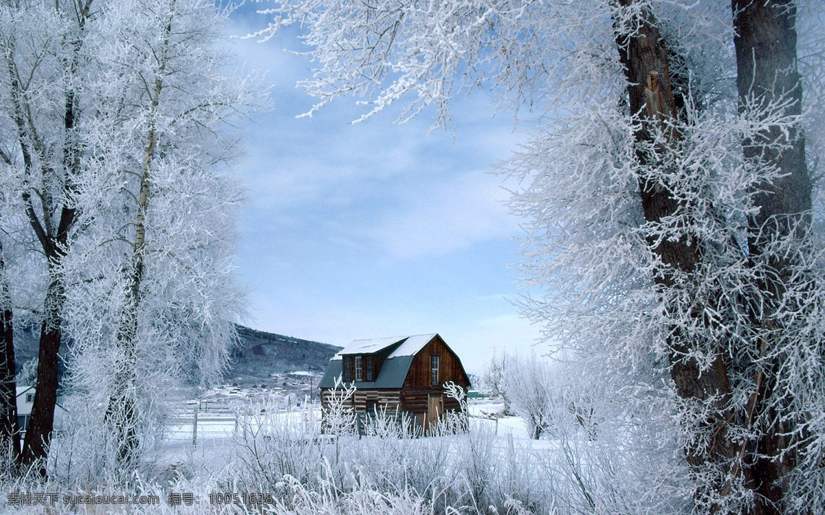 雪后山野风景 银白色的树木 寒冷的树木 小房子 山脉 冬季的树木 自然景观 自然风光