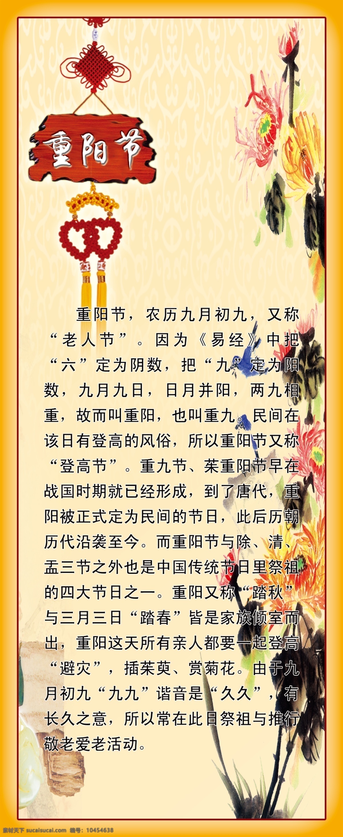 中国 节日 文化 重阳节 中国节日文化 菊花 学校展板 走廊文化 展板模板 黄色