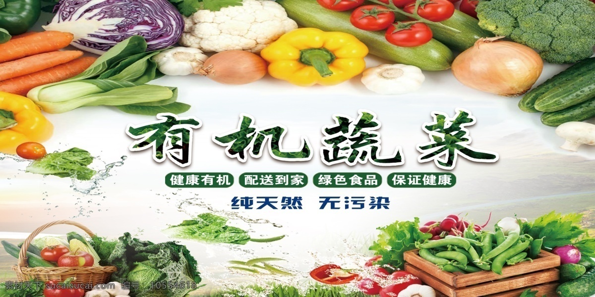 有机 蔬菜 展板 有机蔬菜展板 有机蔬菜设计 绿色蔬菜 有机蔬菜