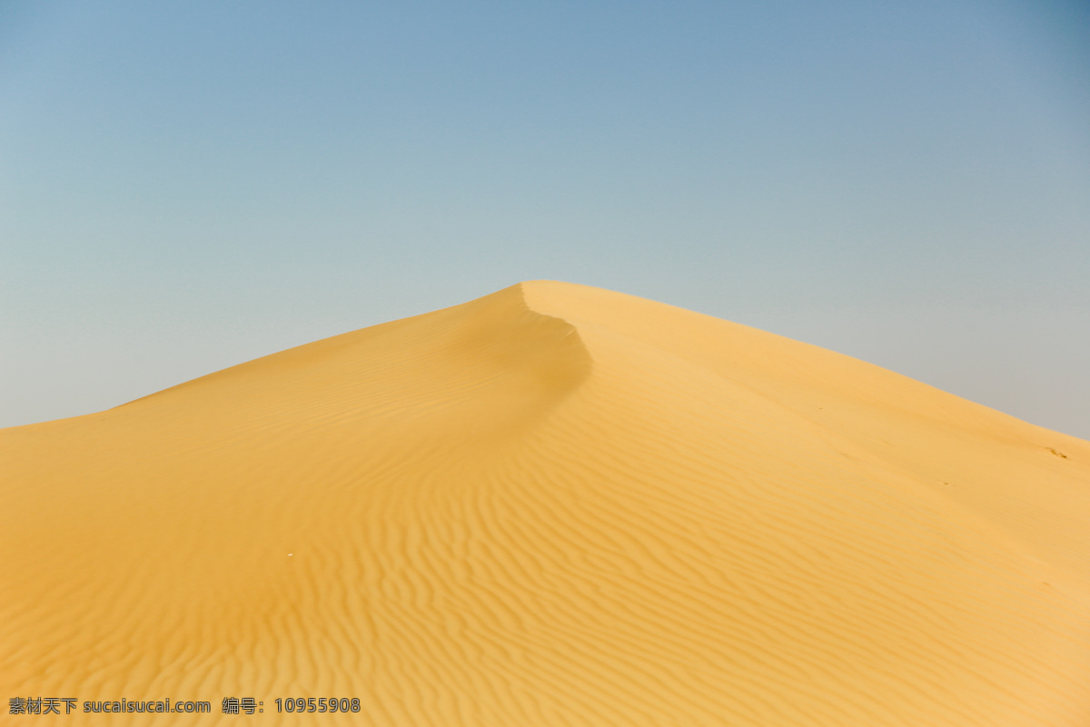 沙漠 沙丘 沙纹 沙漠植物 沙漠景观 沙漠风情 沙堆 黄沙 荒漠 荒沙 沙漠奇观 流动沙漠 沙子 自然景观 自然风景