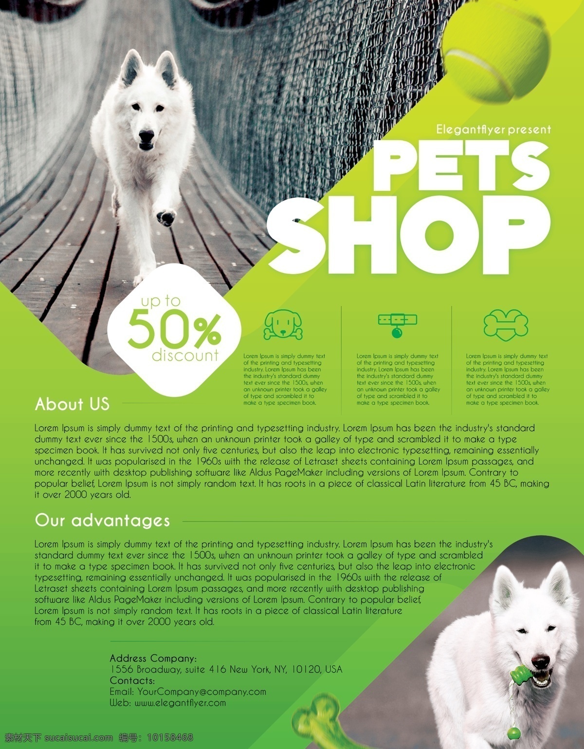 宠物 店 促销 传单 宠物店 dm单页 海报素材