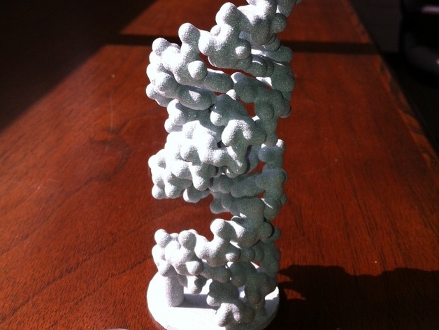 a 型 rna 螺旋 站 3d打印模型 建筑结构模型 生物化学 生物学 shapeways