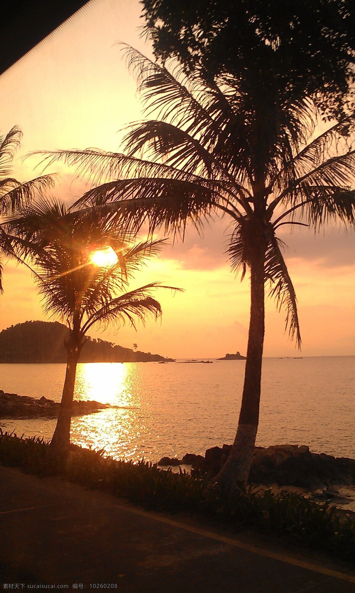 光影 海边 海滩 日落 夕阳 椰树 自然风景 自然景观 海边夕阳椰树 psd源文件