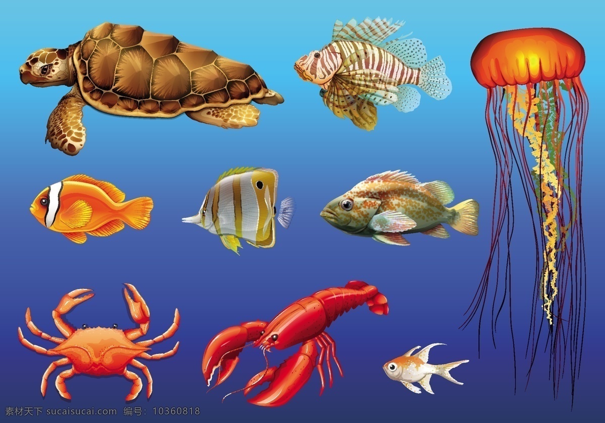 水下 各种 野生动物 水母 海龟 小丑鱼 龙虾 海鲜 分层
