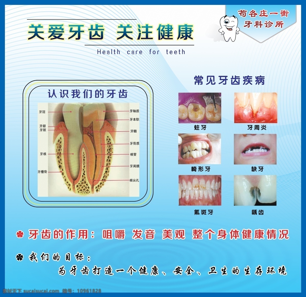认识 我们 牙齿 牙齿结构 牙齿构造 牙齿构成 关爱牙齿 牙科 牙医 牙齿的作用 常见牙齿疾病 蛀牙 牙周炎 畸形牙 缺牙 佛斑牙 龋齿 分层 源文件