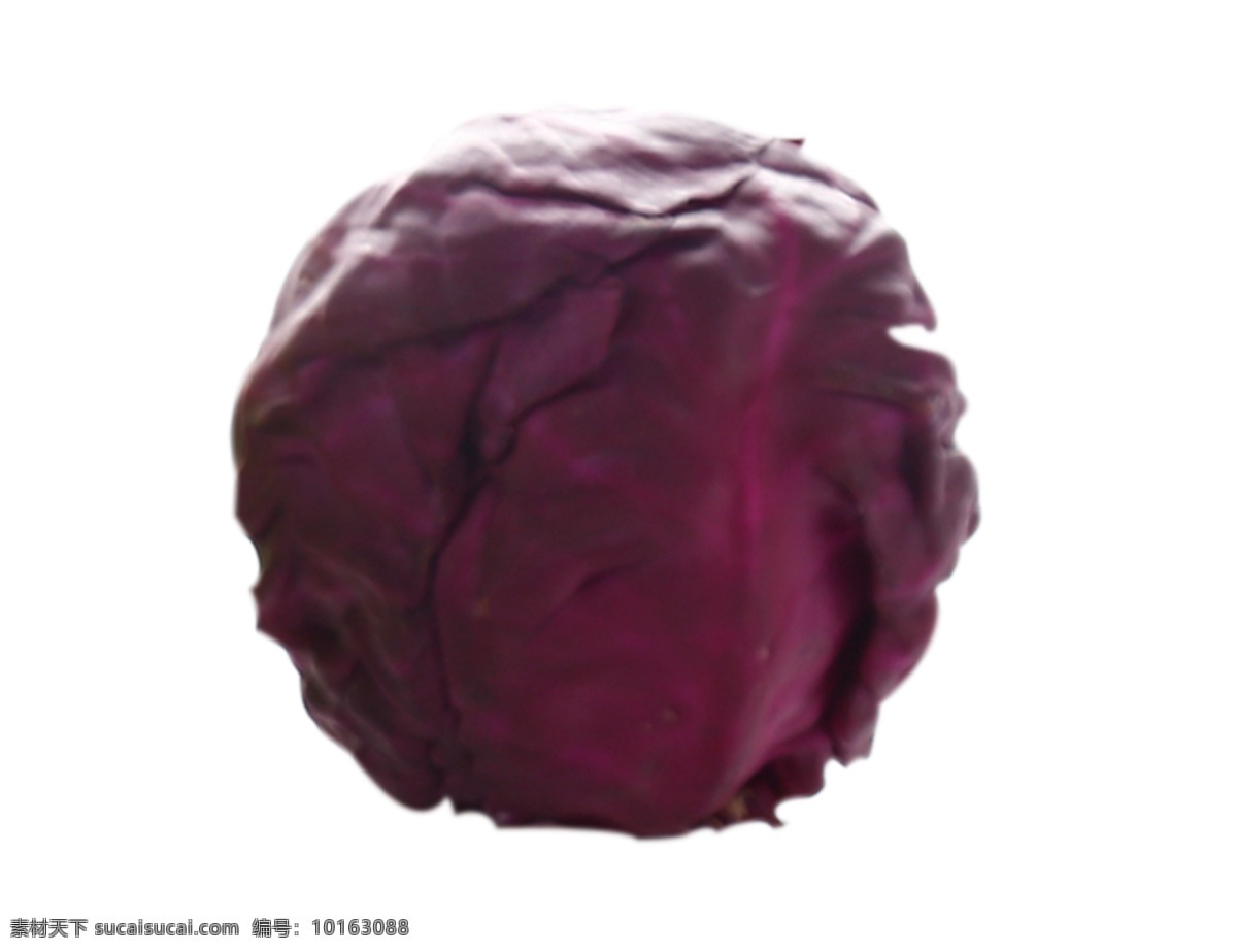 一颗紫甘蓝 蔬菜 紫色 食品