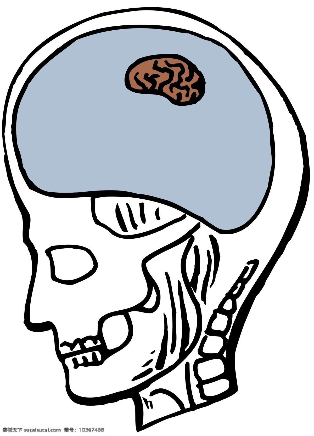头颅 大脑 医用模型 矢量素材 eps0044 设计素材 结构模型 医疗卫生 矢量图库 白色