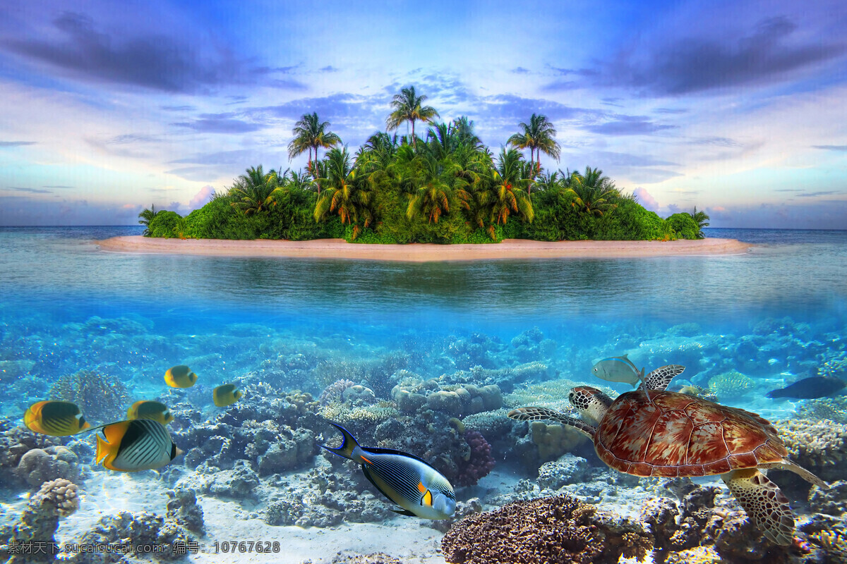 海中 小岛 海里 鱼 海水 乌龟 椰子树 树木 海洋海边 自然景观 蓝色
