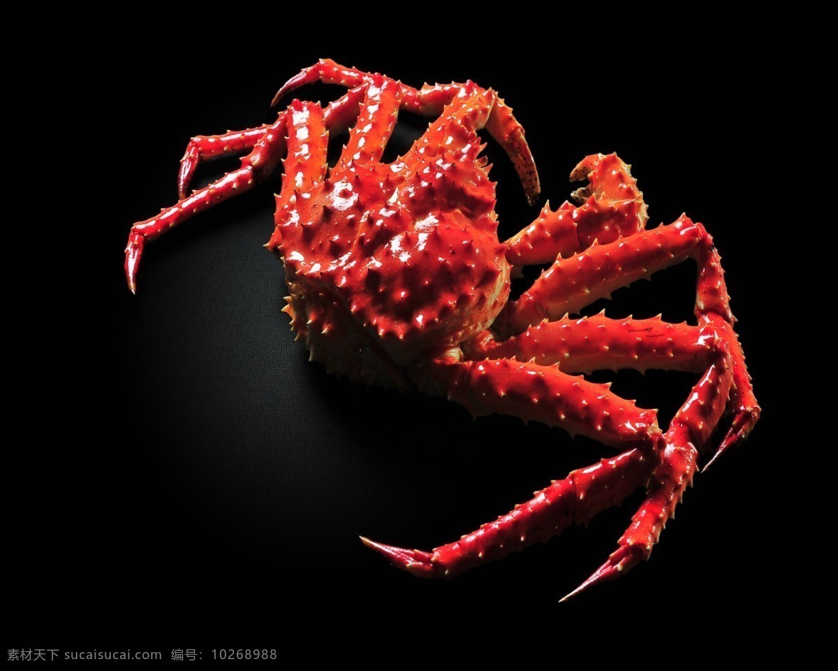 帝王蟹 雪蟹 阿拉斯加 海鲜 深海 美食 餐饮美食 食物原料