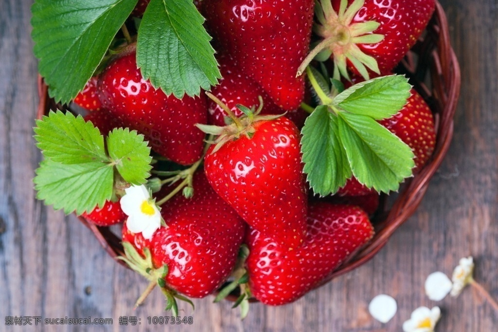 草莓 绿叶 叶子 篮子 花朵 水果 果肉 新鲜 夏天 美食 丰收 水果摄影 生物世界