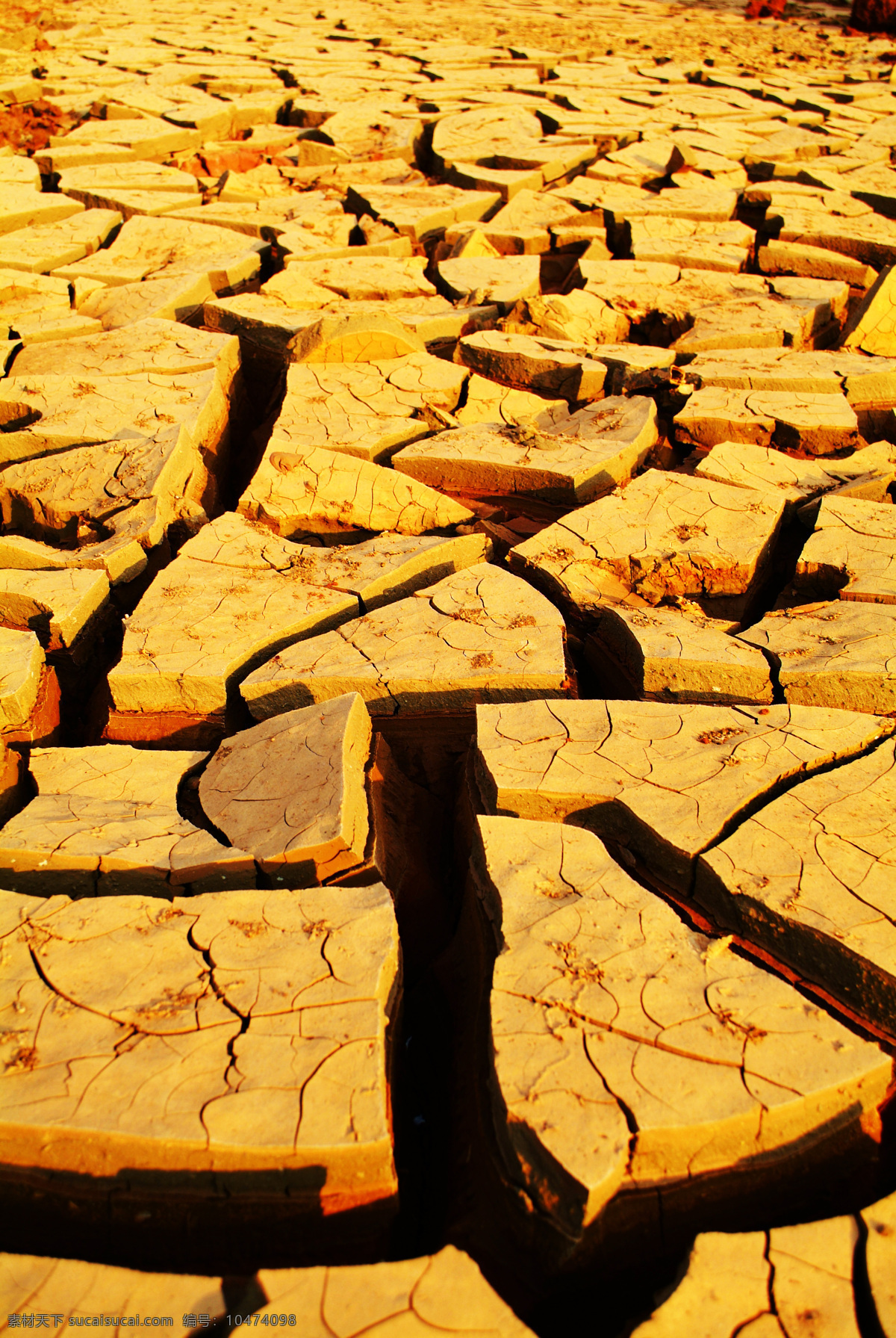 土地裂缝摄影 龟裂的土地 裂缝 裂纹 干枯的土地 干枯的地面 干涸 干旱 旱灾 自然风景 自然景观 黄色