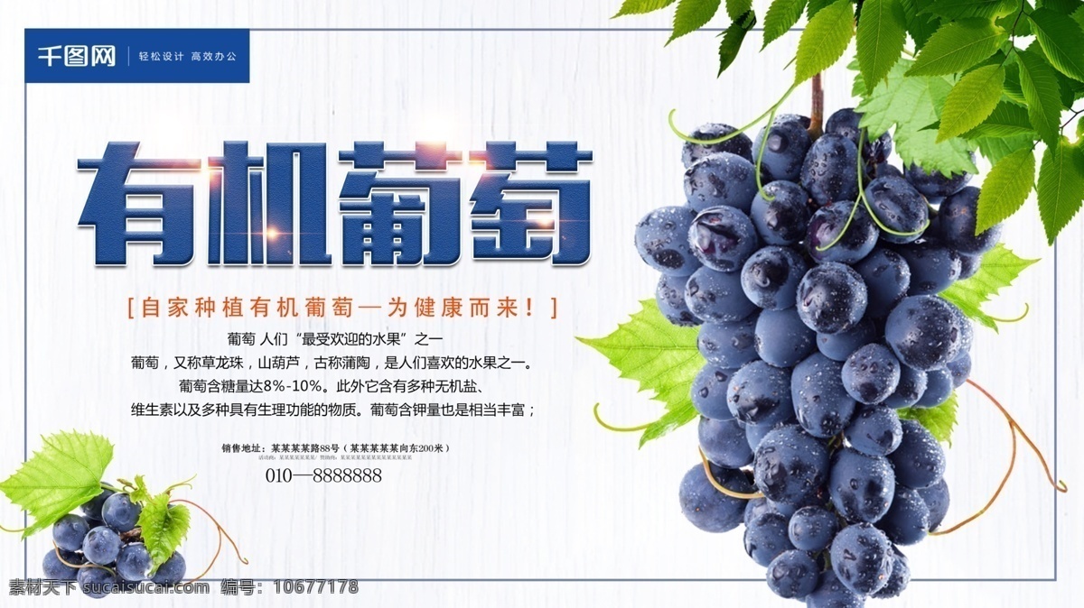 葡萄海报 水果店 新鲜 提子 有机 葡萄 水果 促销 海报 展架 创意海报展架 葡萄展架 水果新鲜 创意水果海报