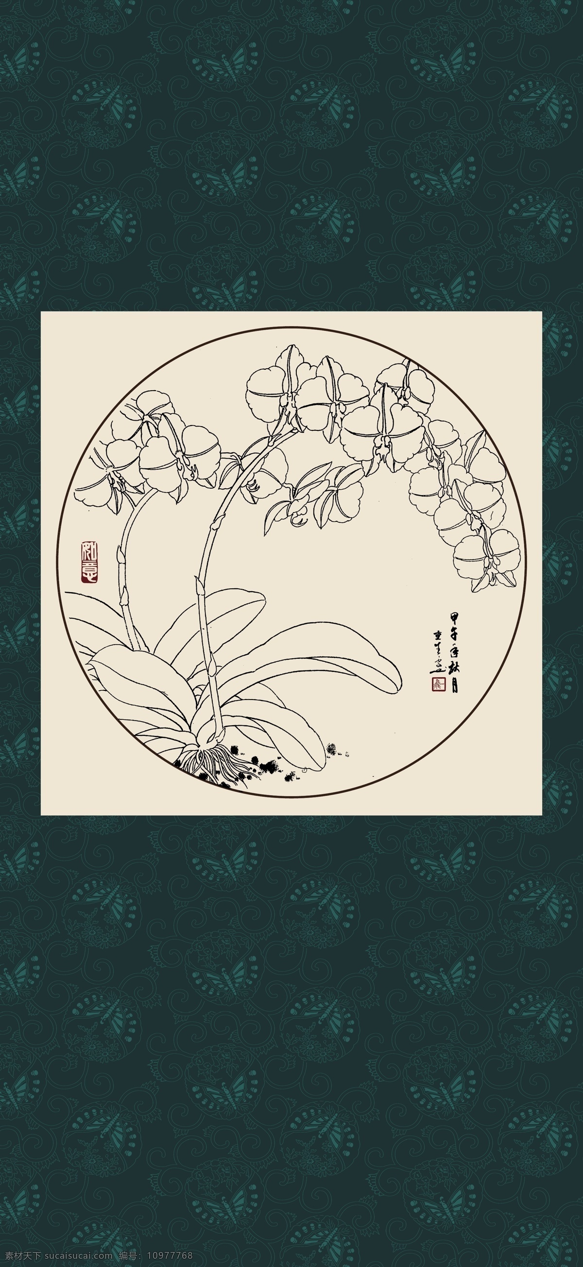 蝴蝶兰 绘画 白描 线描 手绘 国画 轮廓 印章 书法 装裱 植物 花卉 花草 花鸟 工笔 写实 写生 毛笔画 昆虫 白描兰花 文化艺术 绘画书法