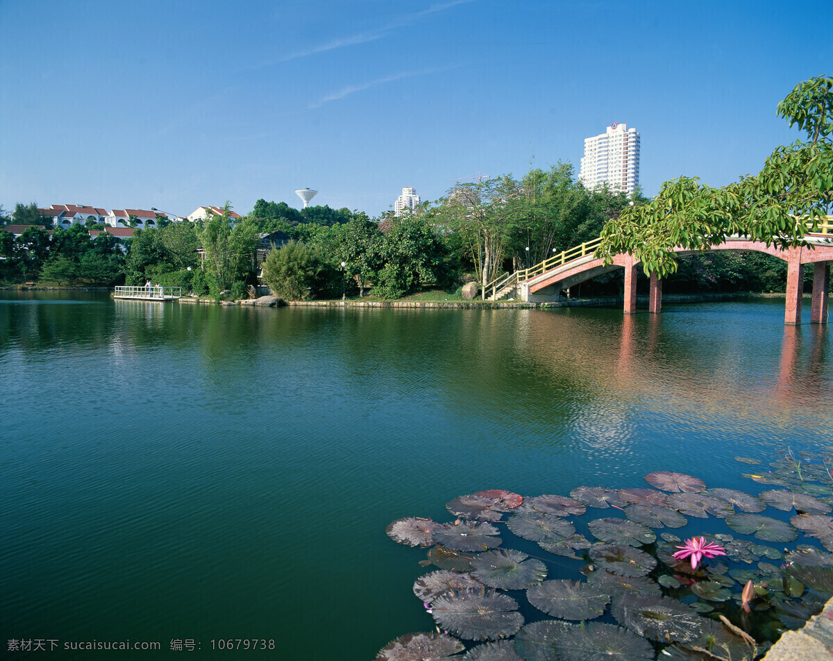 现代 城市 公园 现代城市 现代都市 城市风景 高楼大厦 繁华都市 繁荣城市 道路 马路 城市风光 城市公园 湖泊 湖水 环境家居 黑色