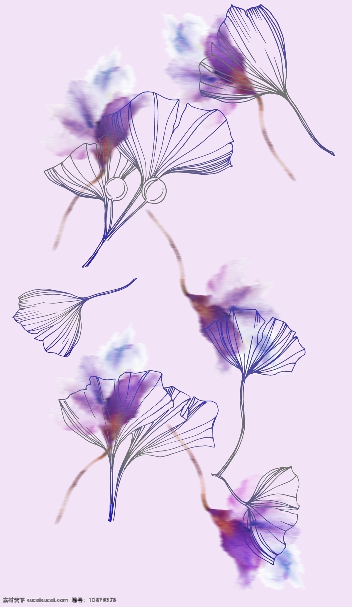 喇叭花 花儿 紫色花儿 线描图 叶子 精美 面料 图案 花型