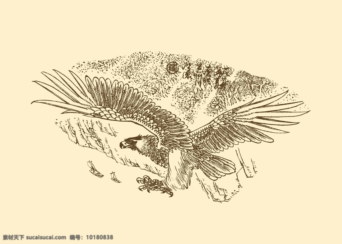 白描鹰 老鹰 鹰 雄鹰 白描 国画 线描 勾勒 中国画 分层 源文件