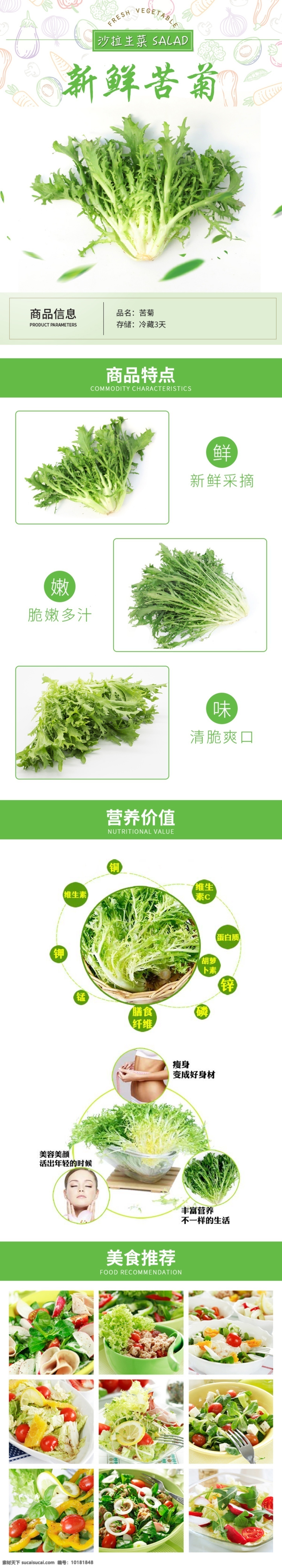 苦菊详情页 新鲜 苦菊 苦叶 生菜 蔬菜 分层