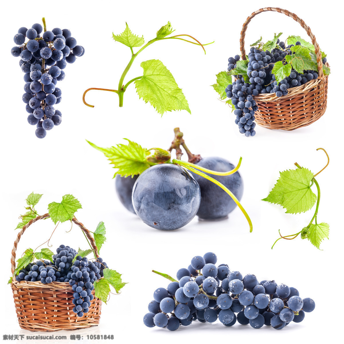 葡萄 水果 紫葡萄 黑葡萄 篮子 竹篮子 葡萄须 绿叶 新鲜水果 生物世界