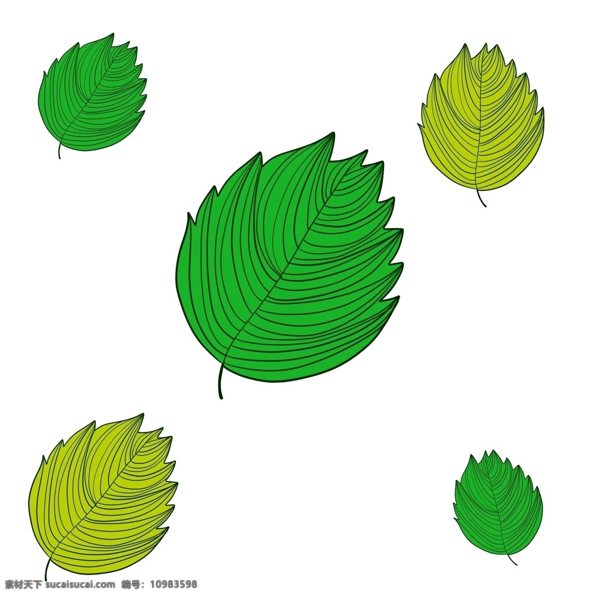 条纹 绿色植物 叶子 灌木丛 春天 栖息 百草丛生 单片叶子 植物 装饰 贴画 条纹叶子 品种