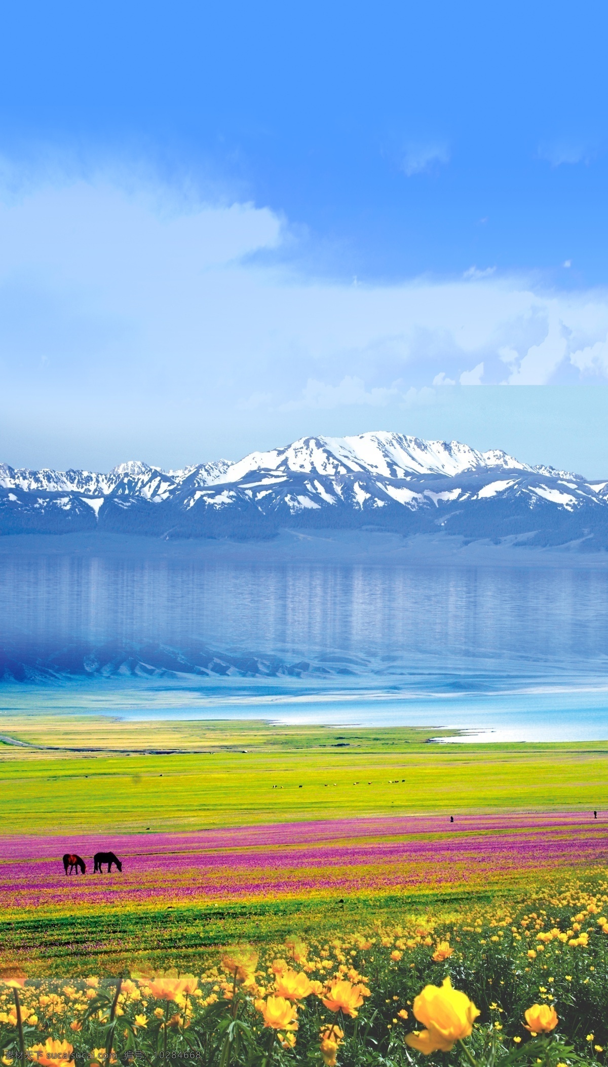 雪山草地 新疆风景 新疆风 景雪山 草原 野花 风景 自然景观 自然风光