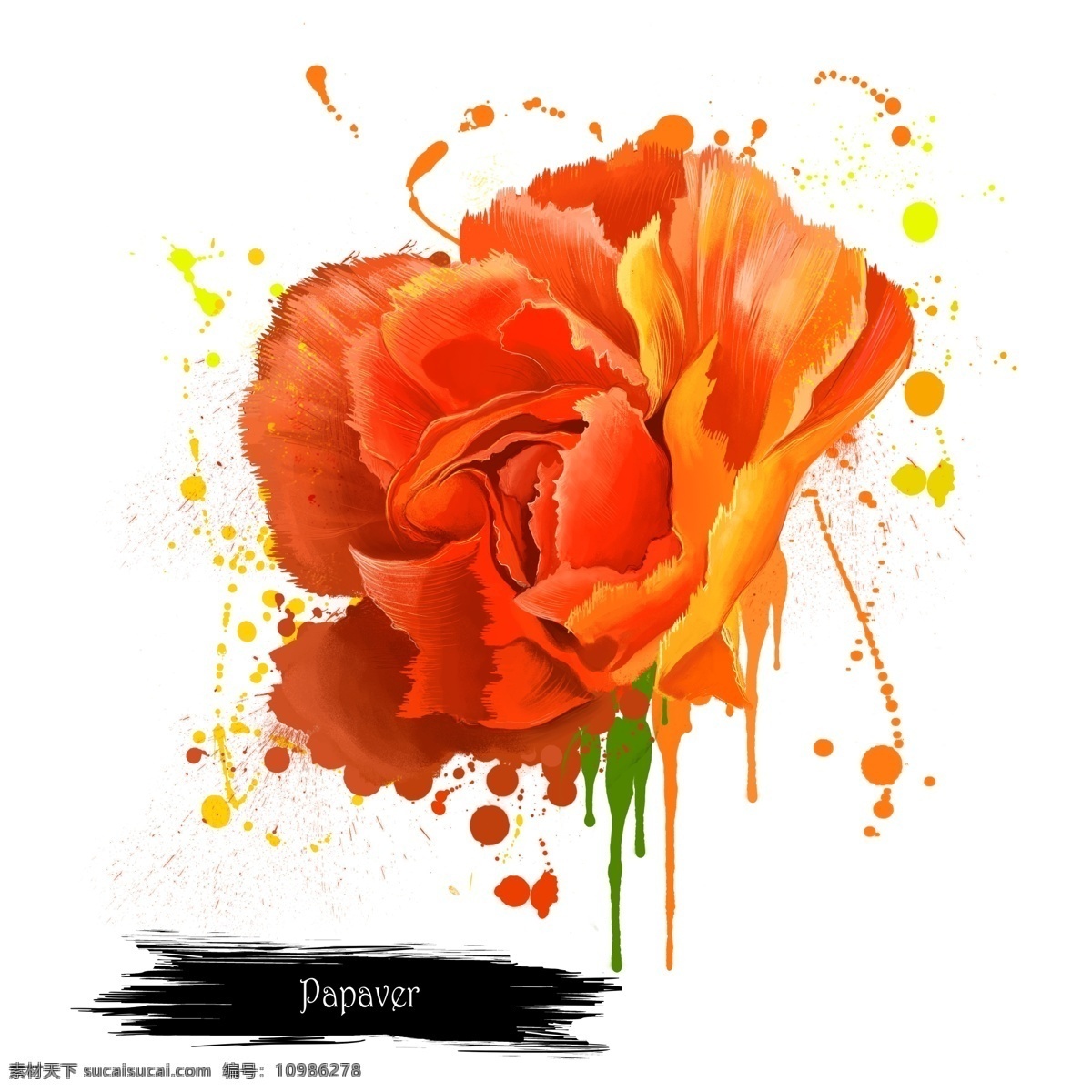 水彩 绘 朵 橙红色 花 源文件 玫瑰 颜料 花瓣 花朵 装饰图案