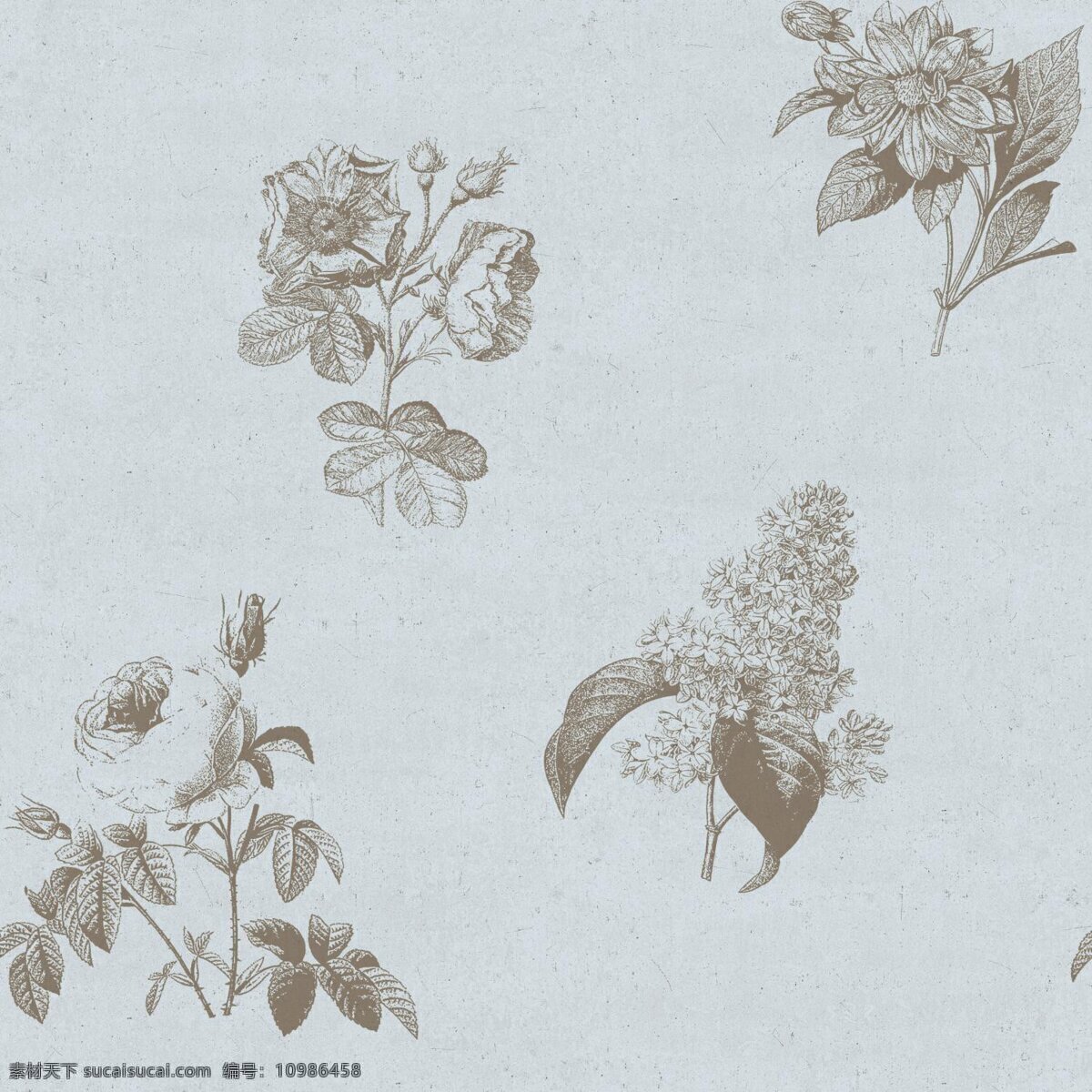 简约 清新 褐色 花朵 壁纸 图案 褐色花朵 花朵壁纸 灰蓝色底纹 简约风格 植物元素