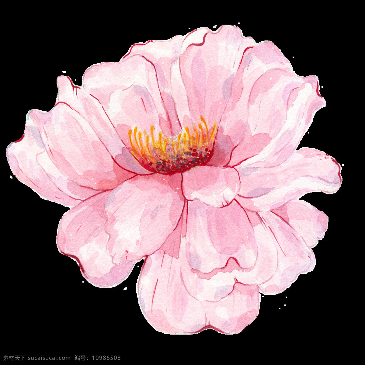 半透明 粉红色 花卉 免扣素材 水彩 唯美 装饰图案 晶莹剔透 花 透明 透蜜素材
