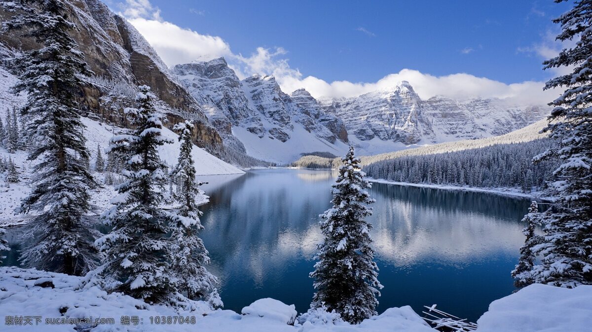 雪中情 雪景 雪 唯美雪景 漂亮美景 自然风景 雪树 白白的雪 太阳下的雪 冬天 冬季 冬日暖阳 冬天的雪 雪山 雪岭 冷 大雪 认真的雪 白雪皑皑 山水风景 自然景观