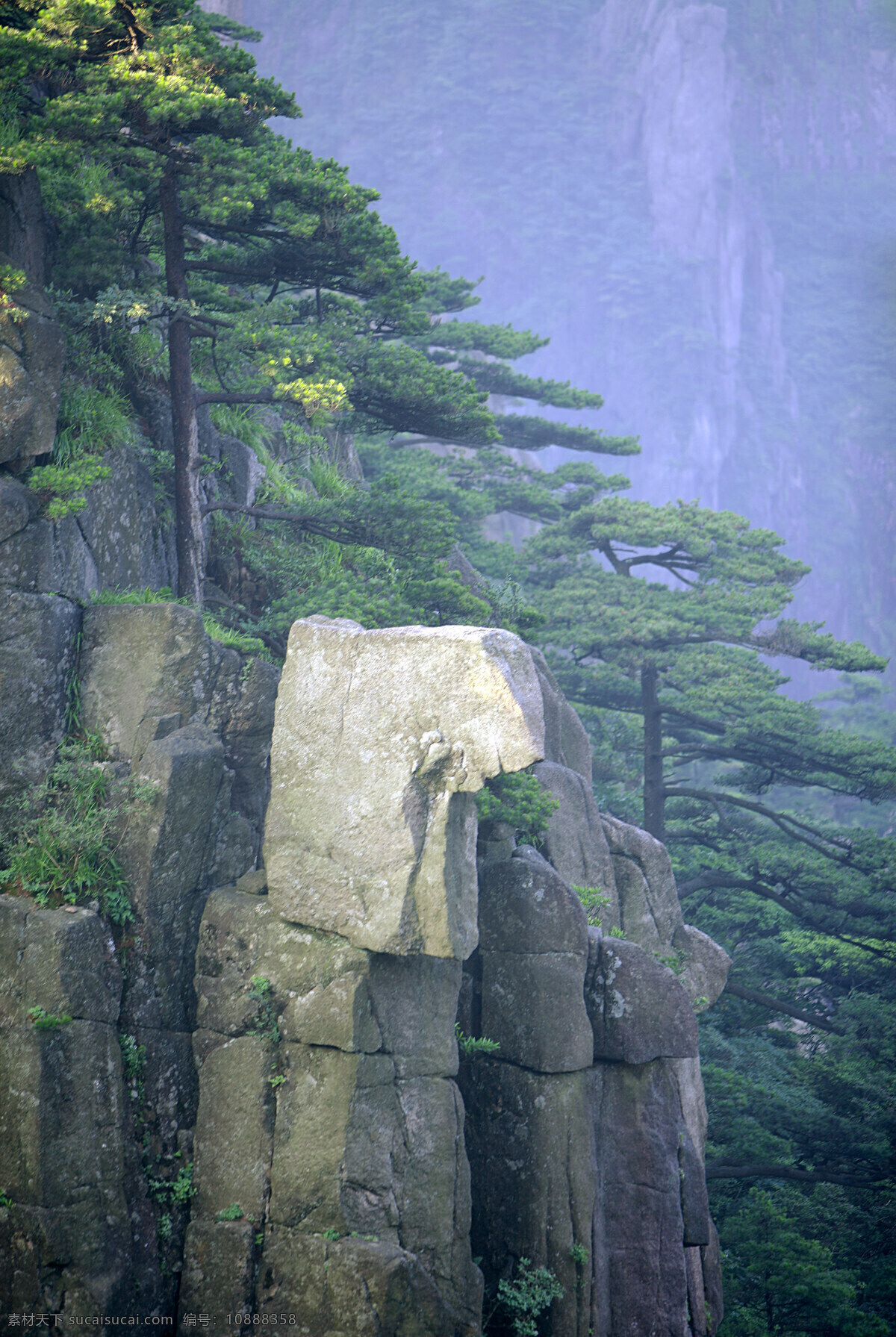 黄山 石壁 上 松树 安徽省 山峰 石头 树 榆树 陡峭 雄伟 壮观 壮丽 仙境 黄山风光 风景 景色 美景 摄影图 旅游 旅游景点 著名景点 风景旅游区 高清图片 风景名胜 风景图片