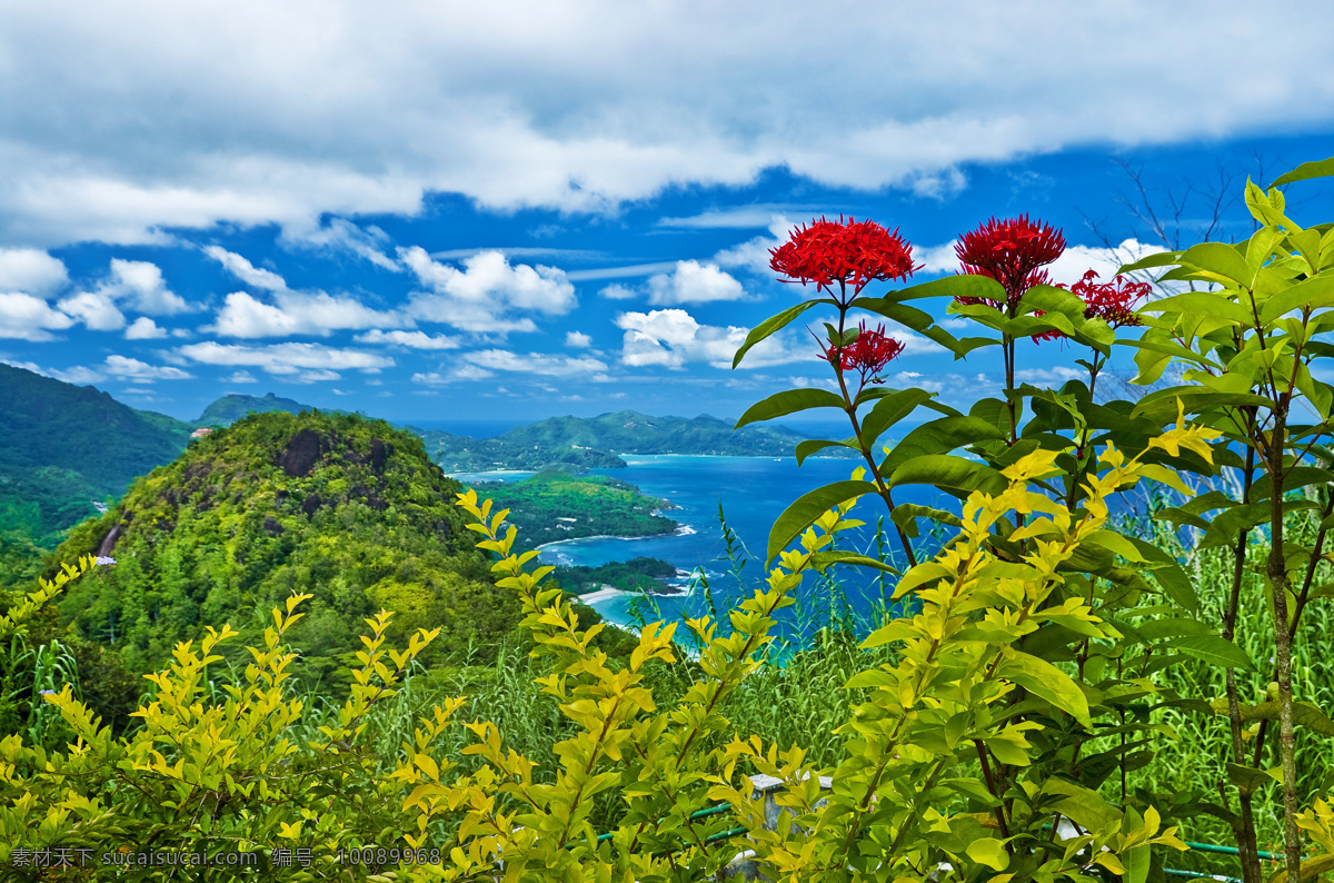 美丽 风景摄影 美丽风景 美景 景色 蓝天白云 山峰 湖泊 鲜花 山水风景 风景图片