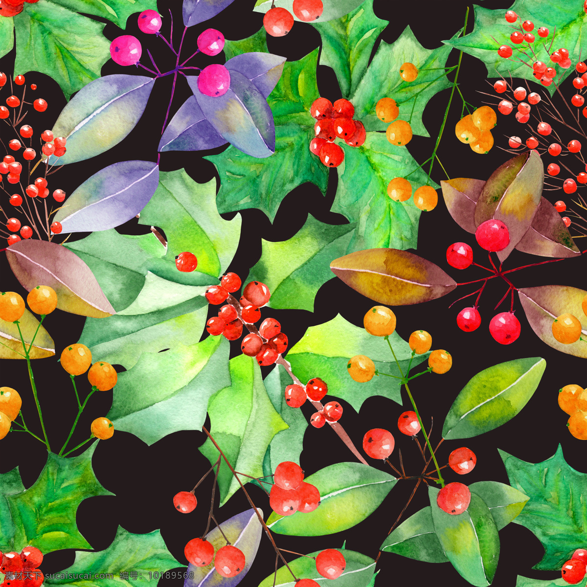 手绘 红色 果子 绿叶 背景 图 背景素材 黑色 橘色 绿色 水彩 野果 叶子 装饰图案 紫色