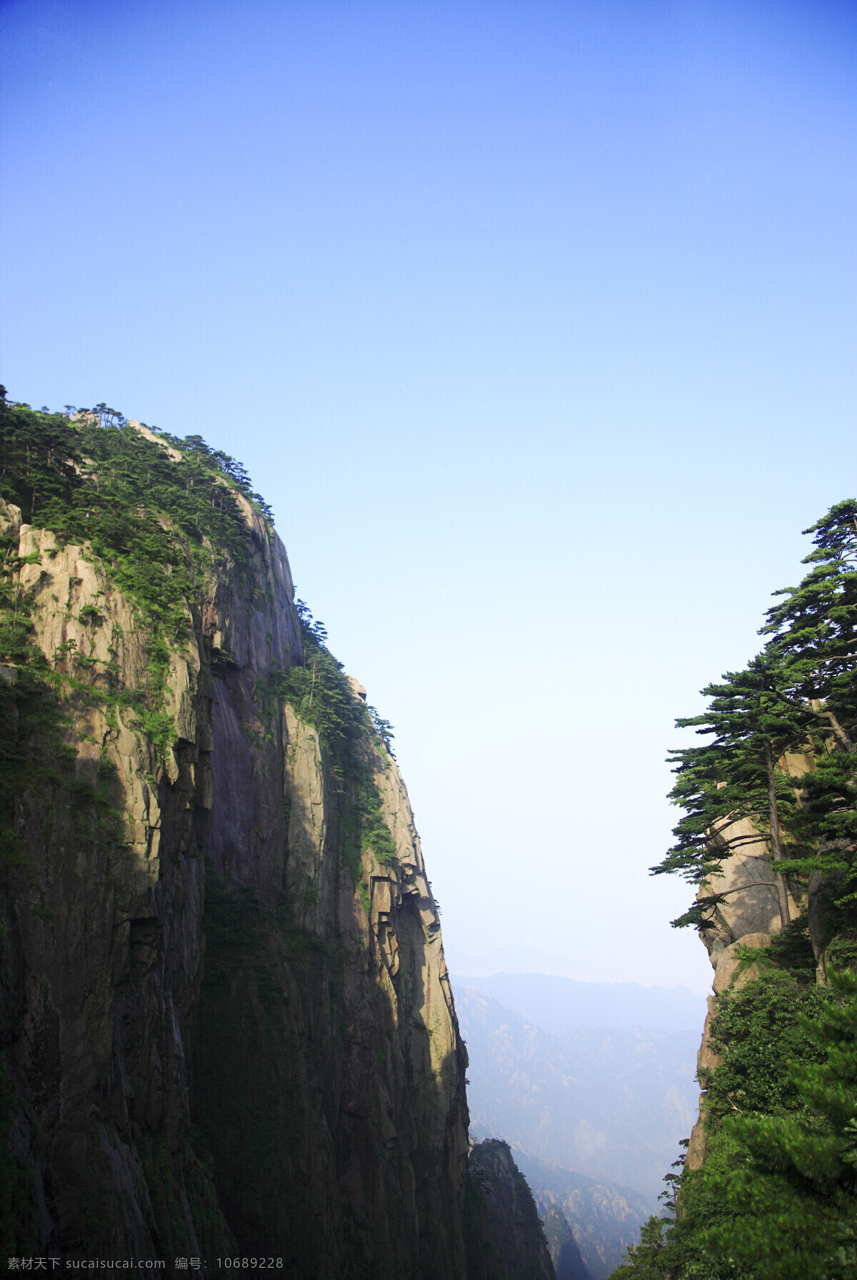 蓝天 下 黄山 峡谷 安徽省 石壁 峭壁 悬崖 险峻 松树 山崖 山谷 自然风光 雄伟 壮观壮丽 黄山风光 风景 景色 美景 摄影图 旅游 旅游景点 著名景点 风景旅游区 高清图片 风景名胜 风景图片