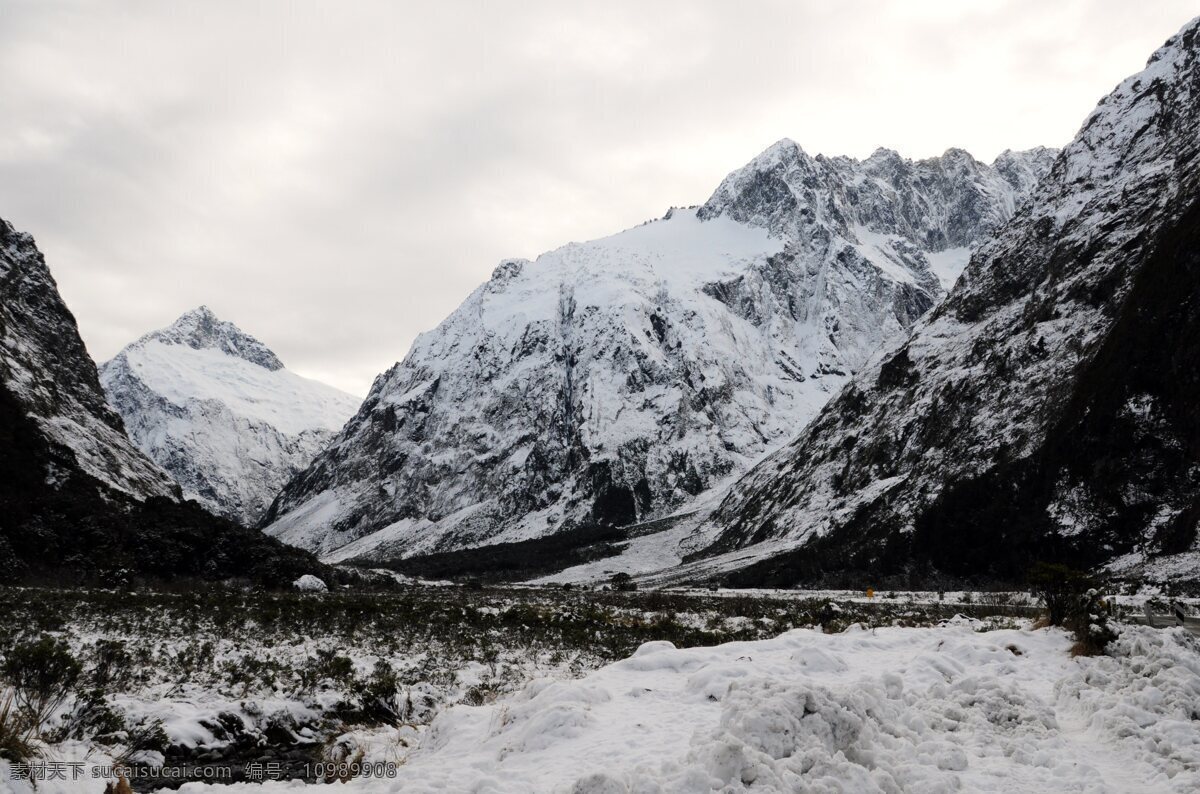 冰川 国外旅游 旅游摄影 新西兰 雪山 植被 米 佛 峡湾 国家 公园 南半球 史前地貌 新西兰之游 矢量图 日常生活