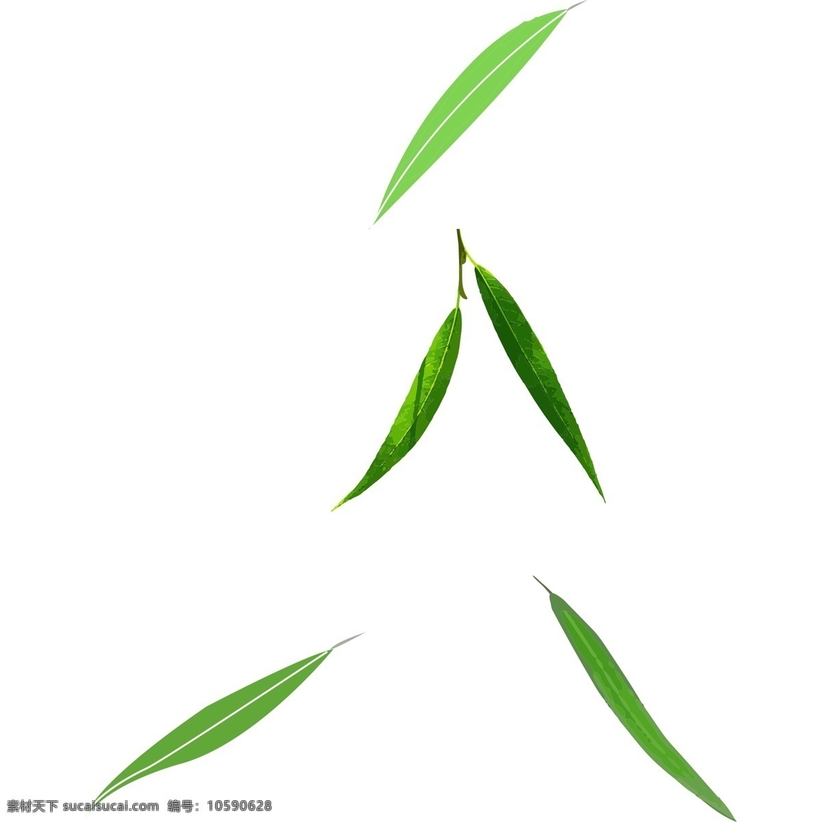 绿色 叶子 卡通 免 抠 图 绿色枝条 植物生长 手绘 新鲜鲜艳 美丽动人 绿色叶子 卡通插画 艺术插画