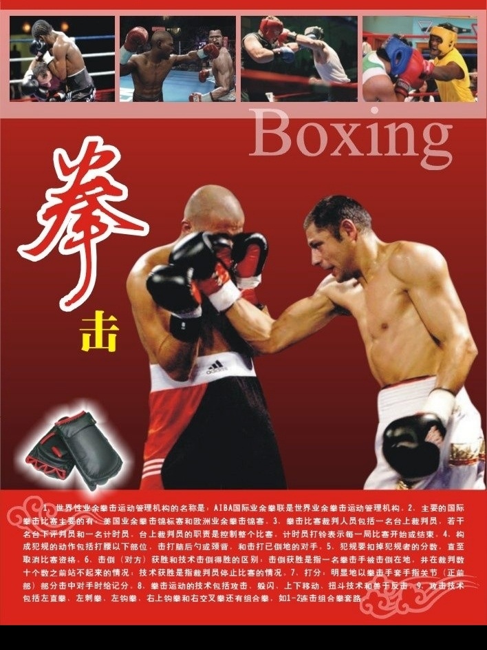 体育知识拳击 体育 拳击 运动 奥运 平面设计 设计作品 文化艺术 体育运动 矢量图库