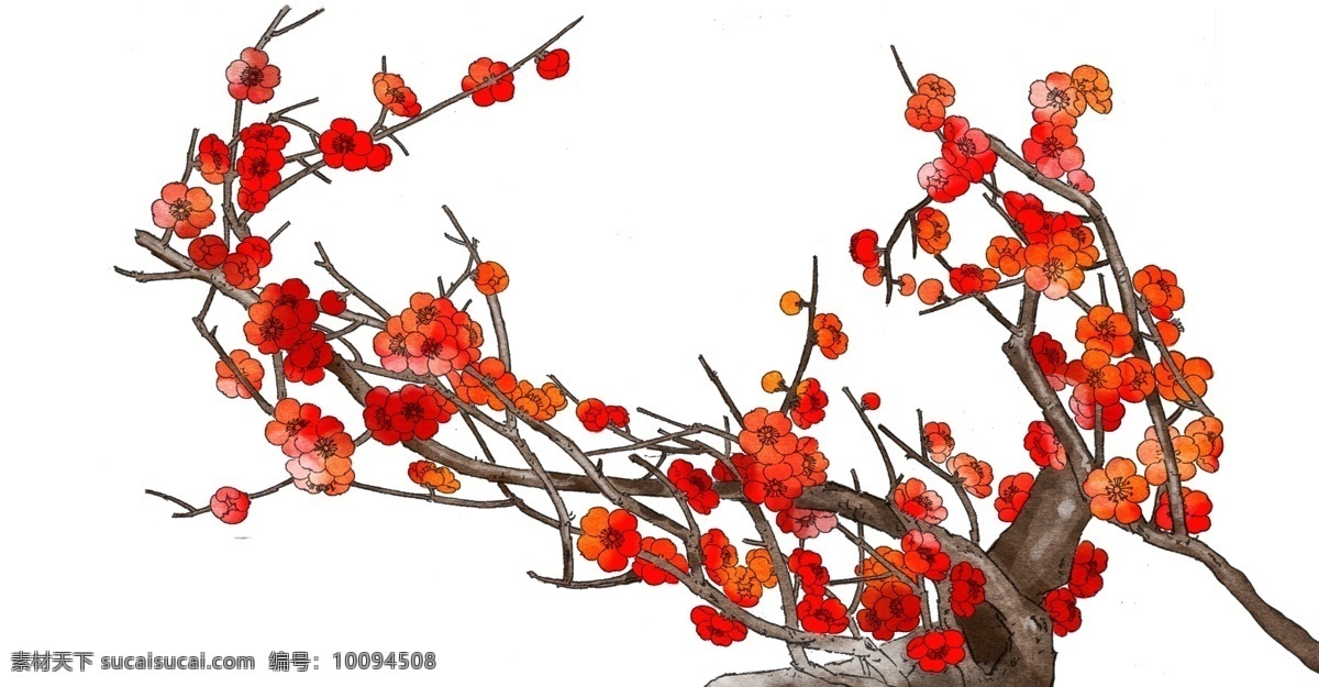 卡通 手绘 梅花 工笔画 插画 梅 红色花朵 植物 寒冬 冬季 寒冷 岁寒三友 中国十大名花 细笔画 写实 形似