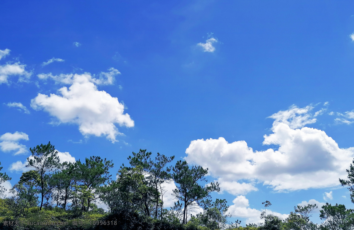 蓝天白云 天空 云彩 云朵 树林 自然景观 自然风景