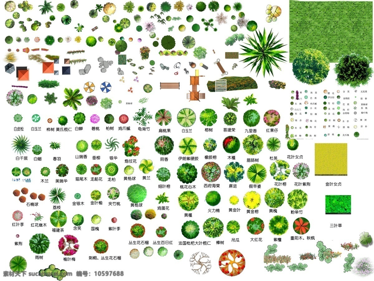 平面植物大全 平面设计 植物 俯视图 cad设计图