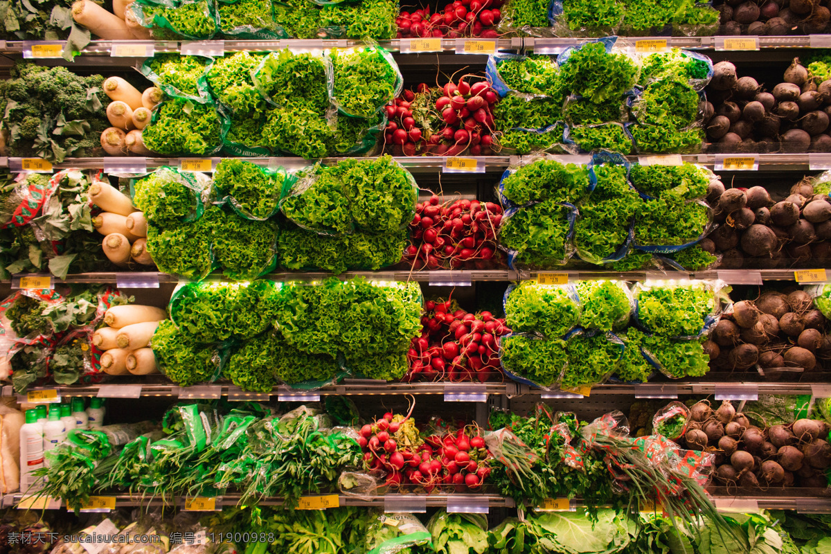 蔬菜区 市场 蔬菜 瓜果 写真 生活百科 生活素材