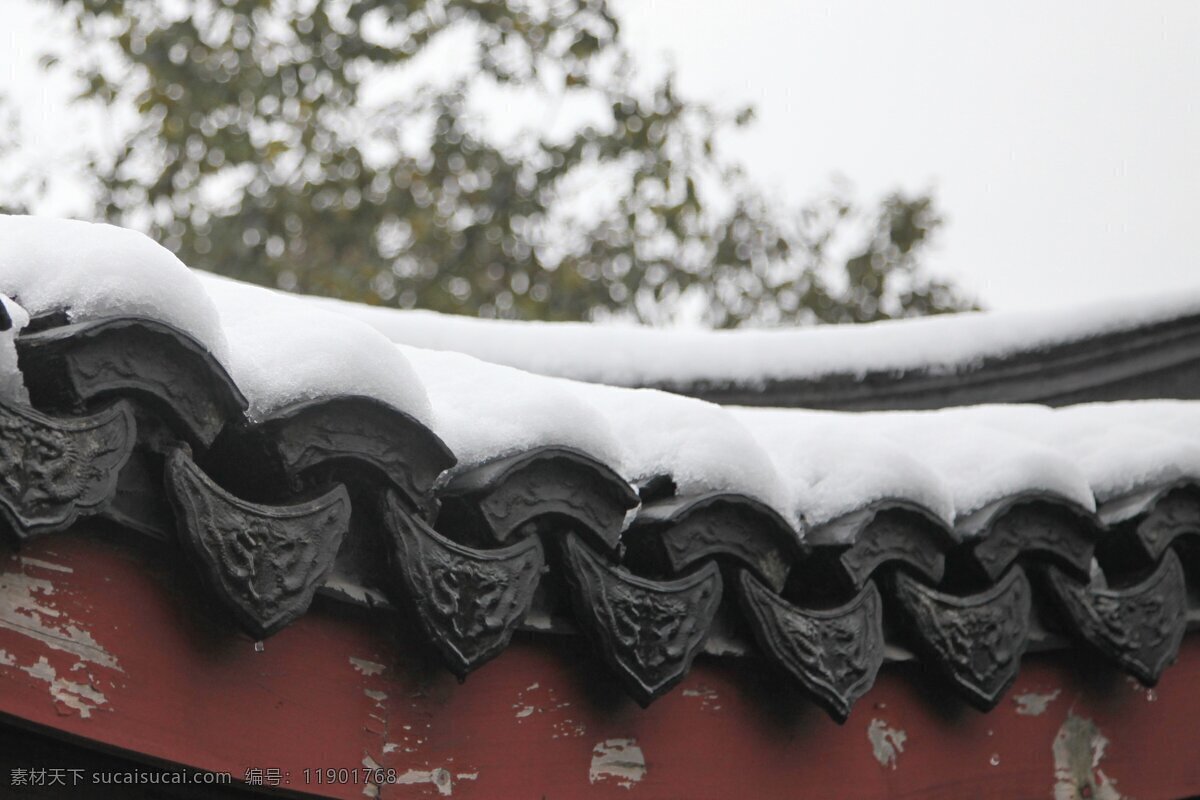 杭州雪景 杭州 雪景 积雪 屋檐 江南雪 旅游摄影 国内旅游