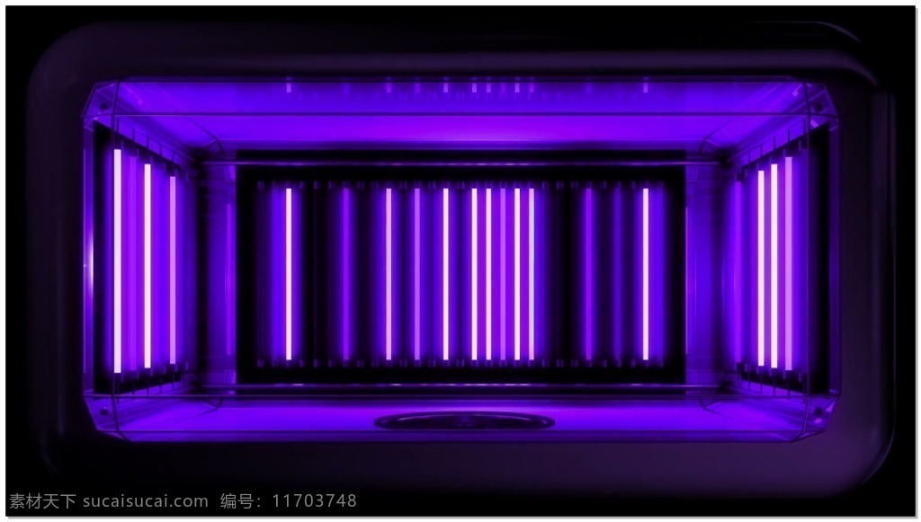 紫色 竖线 动态 视频 高清视频素材 视频素材 动态视频素材 绚丽 光线