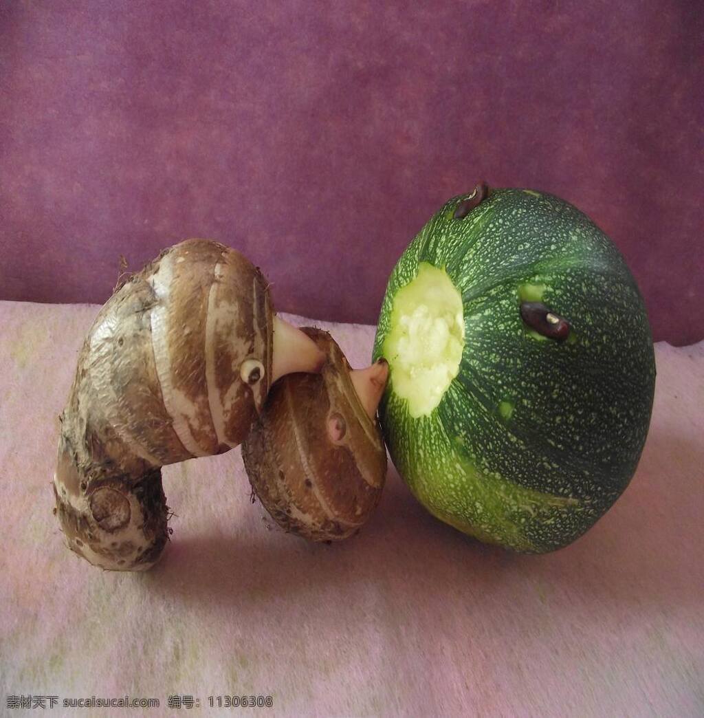 彩图 瓜果 生物世界 蔬菜 艺术创意 幽默 幽默彩图 创意 瓜果创意 手工设计 摄影美图