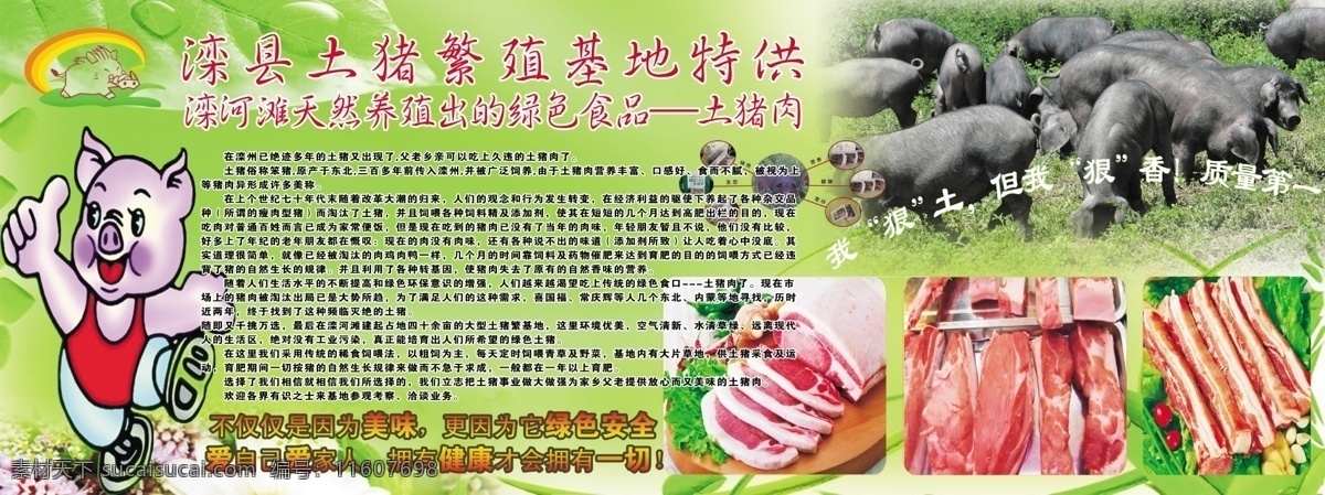土猪肉 养殖场 绿色健康 土猪 猪肉 宣传单页 分层 源文件