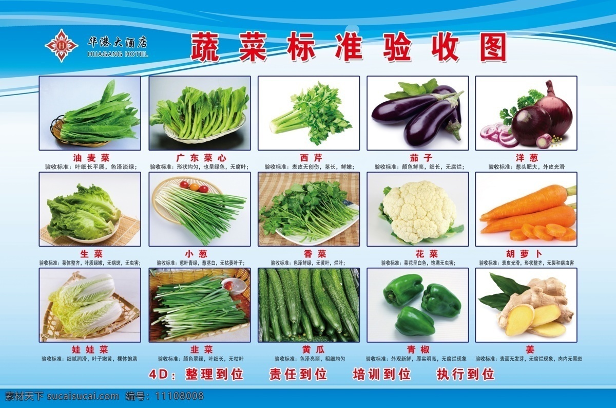 华 港 蔬菜 标准 验收 图 蔬菜验收图 酒店 蔬菜收货 标准样板图 蔬菜样板 蔬菜验收 蔬菜标准 蔬菜样版